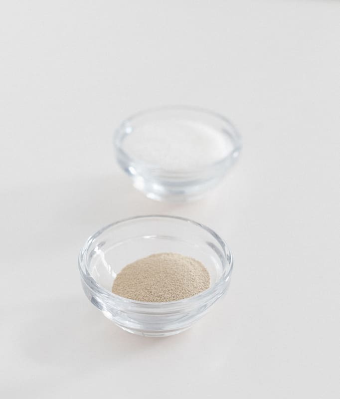 Pakmaya 10 Gr İnstant 9lu